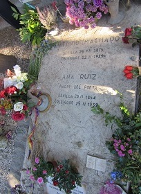 6-10-2025_tumbaMachado 01